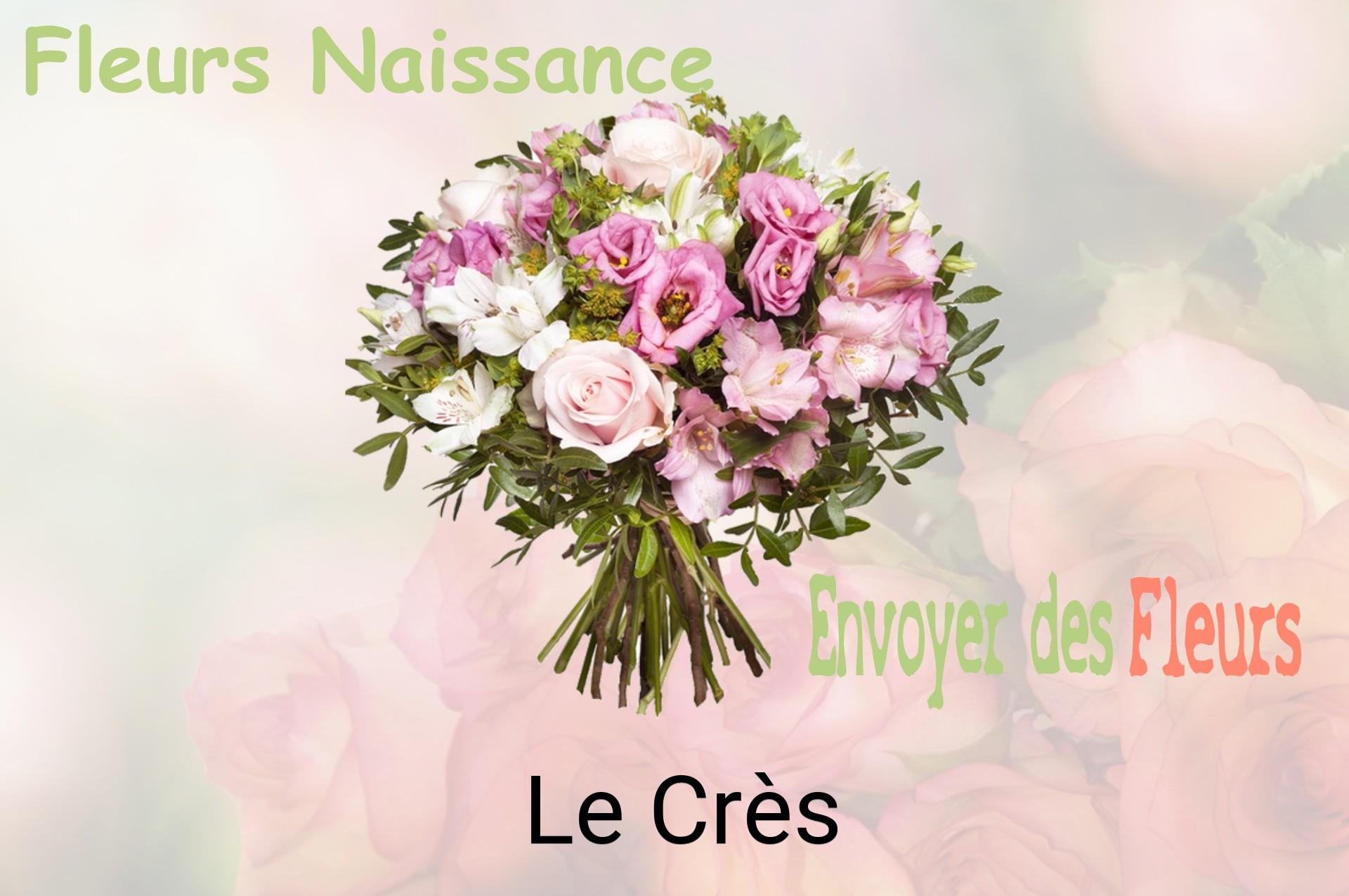 Bouquet de fleurs de naissance livré à Le Crès